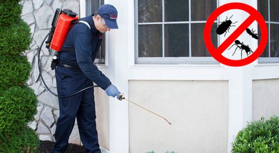 Karabük Böcek İlaçlama böcek ilaçlama ve haşere kontrolü — ilaclama-tr.com